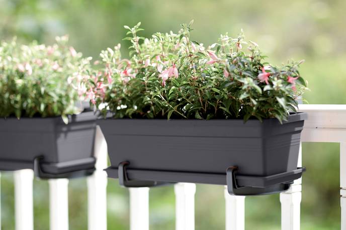 green basics balkonkasten 50cm living schwarz